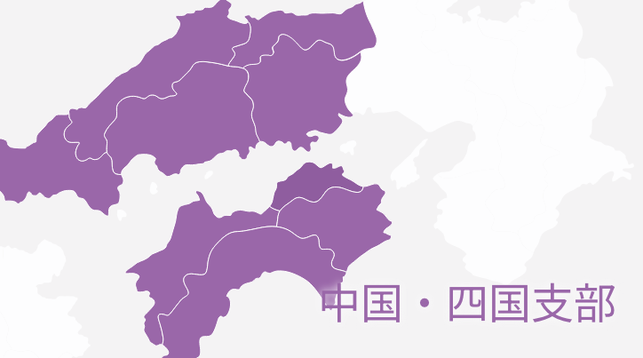 第35回 日本脳神経血管内治療学会 中国四国地方会